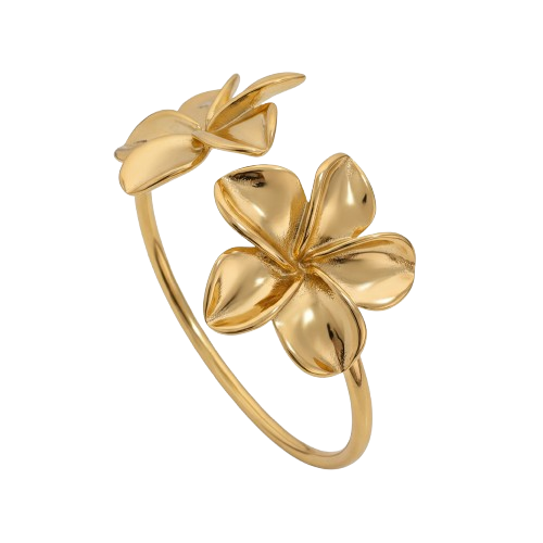 Bracelet Ajustable Florezi