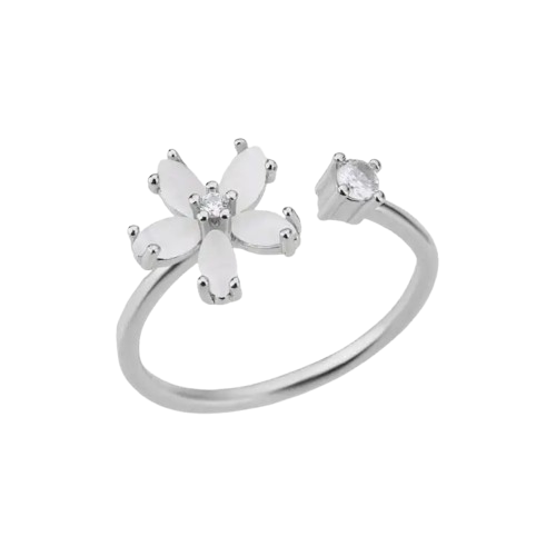 Bague Aulis Ajustable