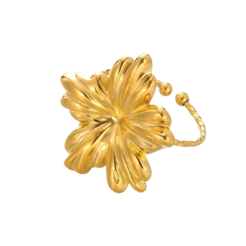 Bague Nebula Ajustable